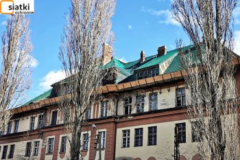 Siatki Pabianice - Siatki zabezpieczające stare dachy - zabezpieczenie na stare dachówki dla terenów Pabianic